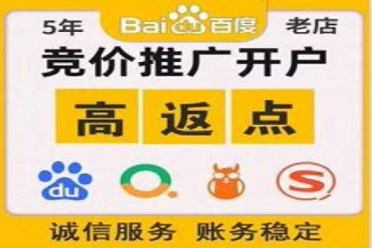 SEM代理助力企业：成功案例分析